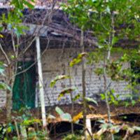plantation home.jpg